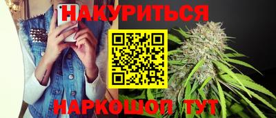 сатива Краснознаменск