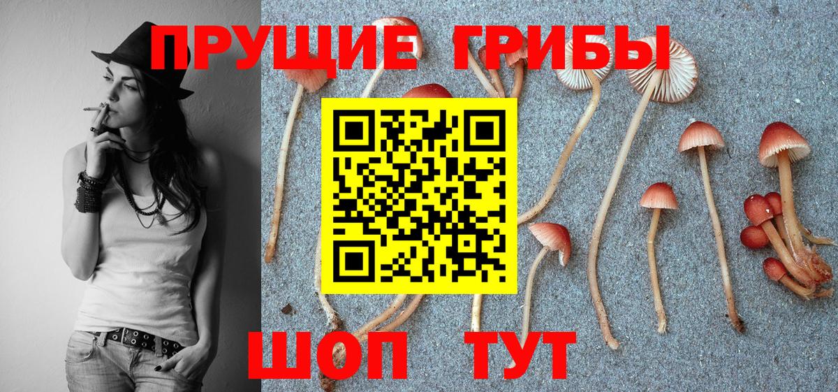 Вышний Волочёк  Псилоцибиновые грибы мухоморы  Галлюциногенные грибы ЛСД  Вход с VPN 